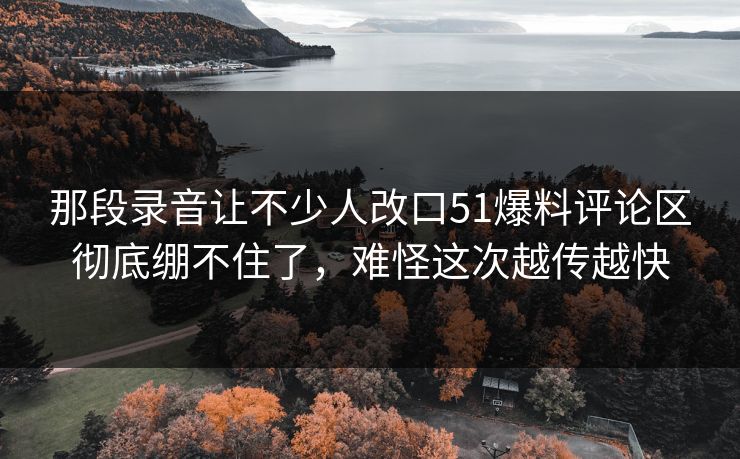 那段录音让不少人改口51爆料评论区彻底绷不住了，难怪这次越传越快