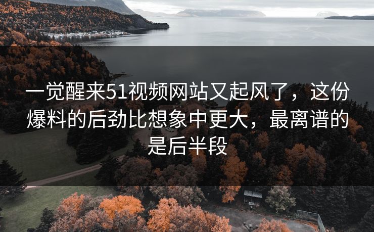 一觉醒来51视频网站又起风了，这份爆料的后劲比想象中更大，最离谱的是后半段