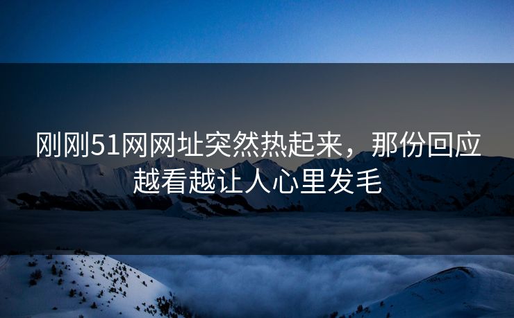 刚刚51网网址突然热起来，那份回应越看越让人心里发毛
